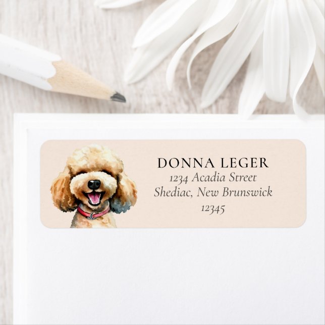 Poodle Dog Adresse personnalisée (En situation)