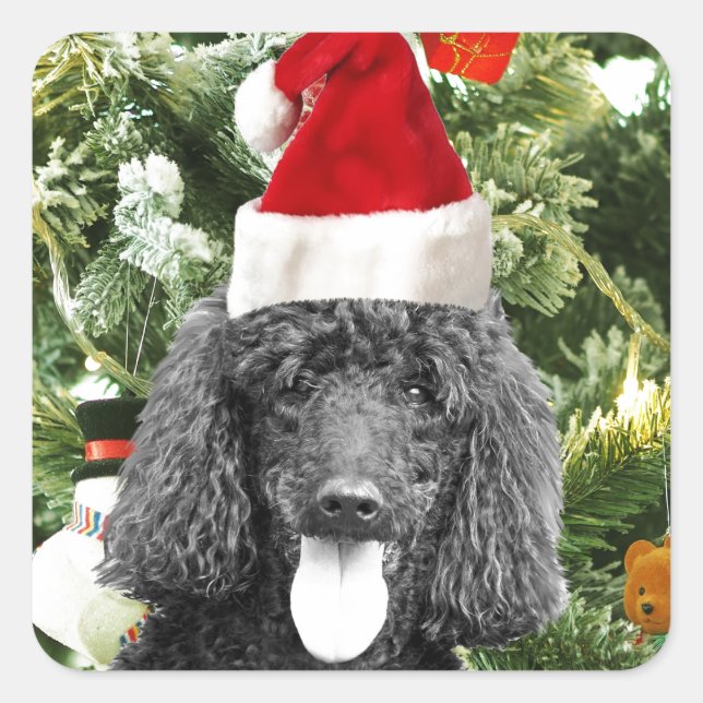 Poodle Dog Christmas Tree Snowman Red Santa Hat Square Sticker (Front)