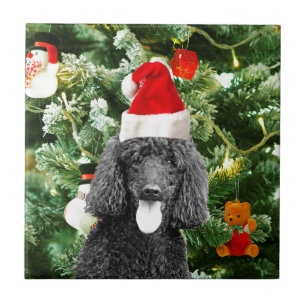Poodle Dog Christmas Tree Snowman Red Santa Hat Tile