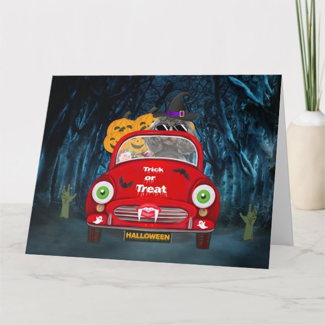 Poodle Dog Driving Car Scary Halloween Card (Front)