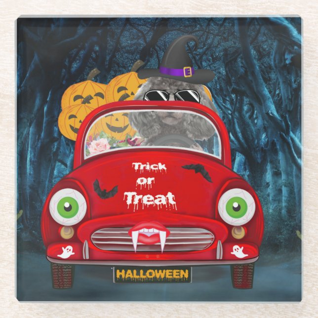 Poodle Dog Driving Car Scary Halloween Glass Coaster (Front)