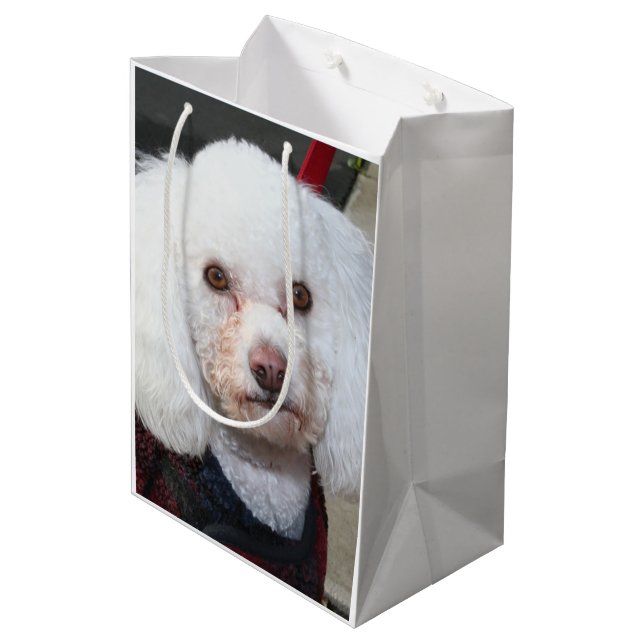 Poodle Dog gift bag (Back Angled)