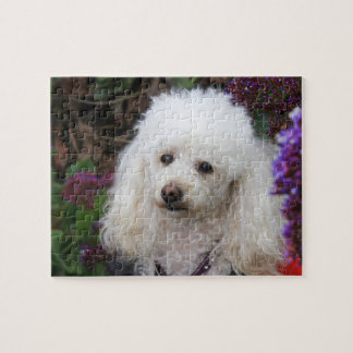 Poodle Dog Jigsaw puzzle