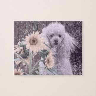 Poodle dog jigsaw puzzle