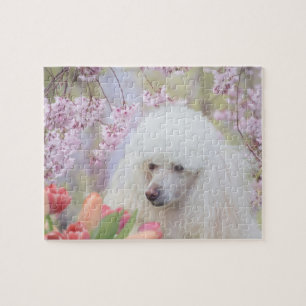Poodle dog jigsaw puzzle
