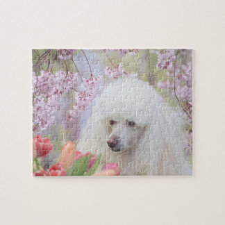 Poodle dog jigsaw puzzle