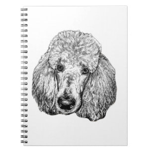 Poodle Dog Notebook – Black & White Head Portrait