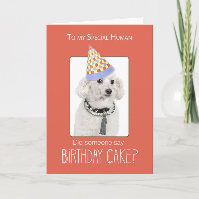 Poodle Dog to Human Birthday Humour, Orange, Funny Card (Front)
