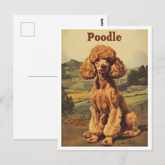Poodle Dog Vintage Art Postcard (Front/Back)