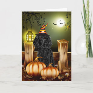 Poodle Dog with Witch Hat Halloween  Card