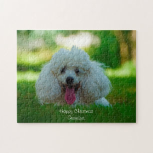 Poodle Dogs. Jigsaw Puzzle