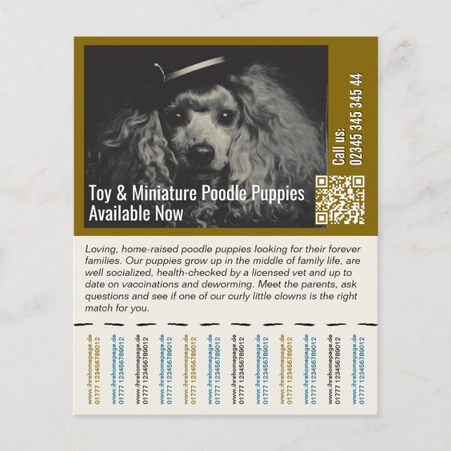 Poodle Flyer (Front)