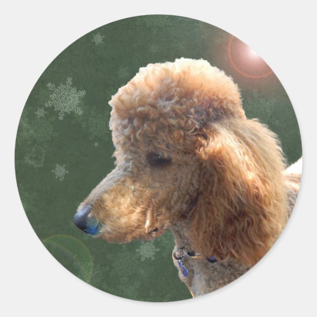 POODLE FOR THE HOLIDAYS CLASSIC ROUND STICKER (Front)