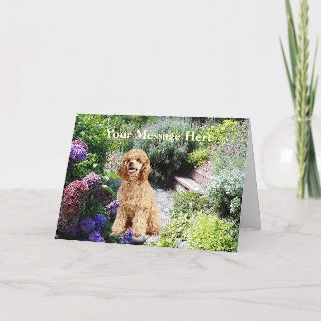 Poodle Garden Greeting Card (Front)