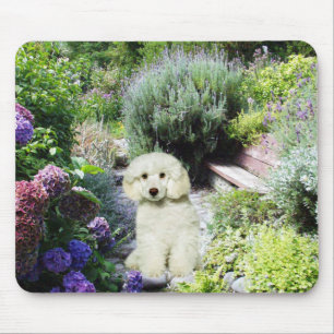 Poodle Garden Mousepad