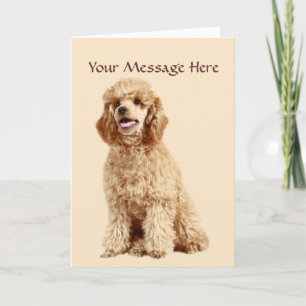 Poodle Greeting Card