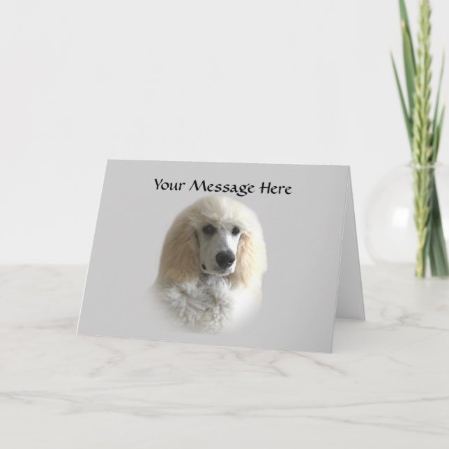 Poodle Greeting Card (Front)