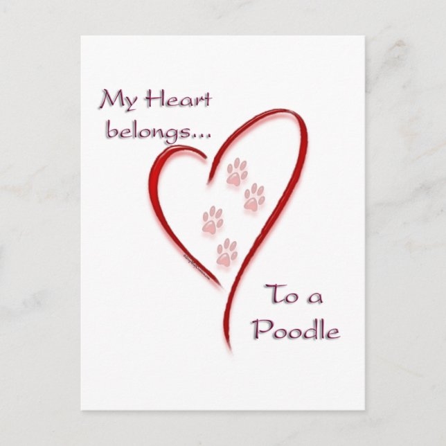 Poodle Heart Belongs Postcard (Front)