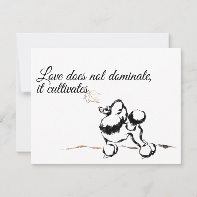 Poodle Invitations (Front)