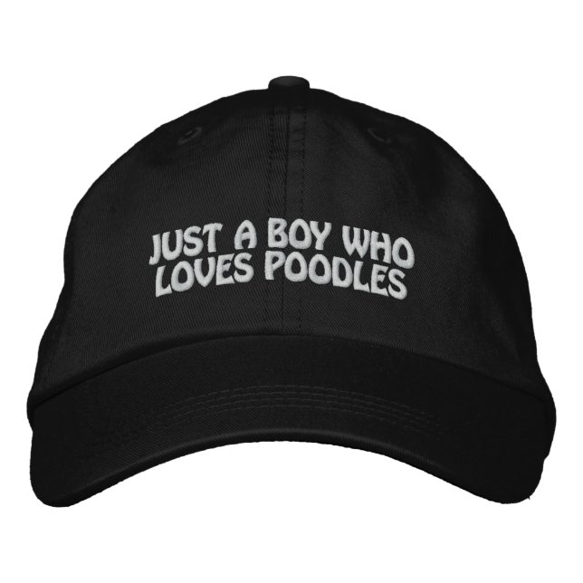 Poodle Just A Boy Who Loves Dogs Men Retro Vintage Embroidered Hat (Front)