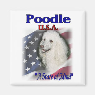 Poodle Lovers Gifts Magnet