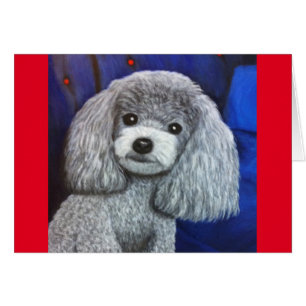 Poodle miniature