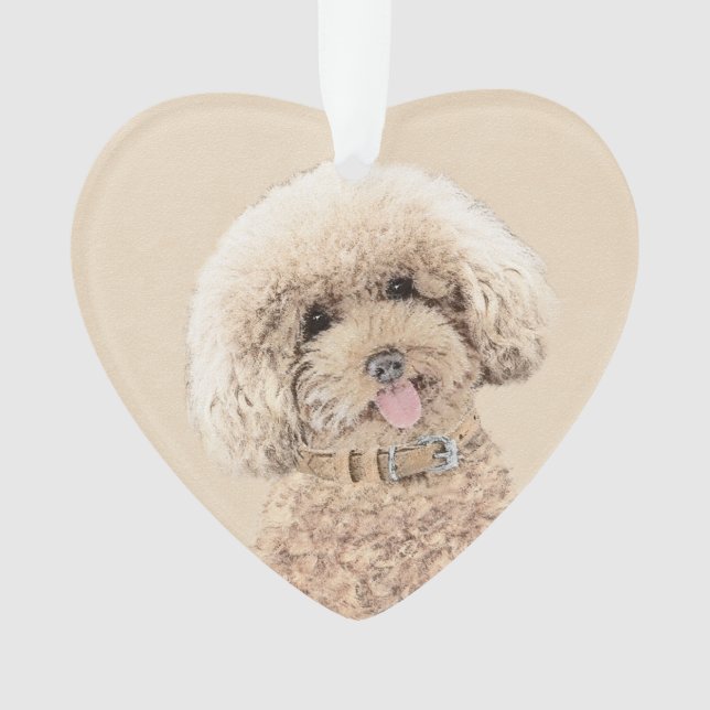 Poodle Miniature Toy Apricot Crème Chien Brown Art (devant)