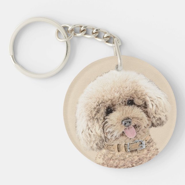 Poodle Miniature Toy Apricot Crème Chien Brown Art (Devant)
