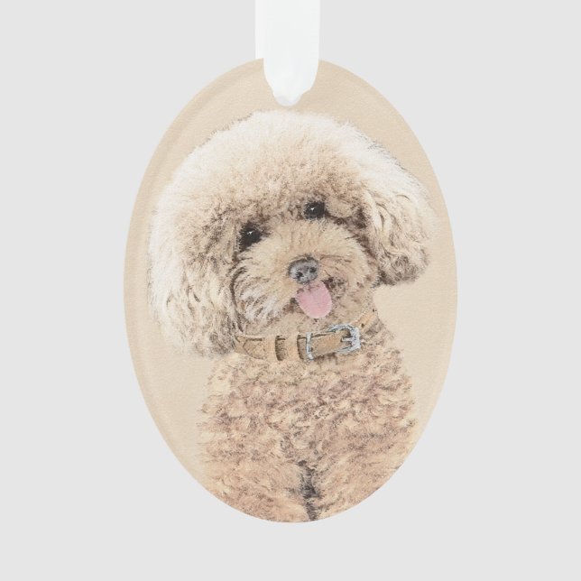 Poodle Miniature Toy Apricot Crème Chien Brown Art (devant)
