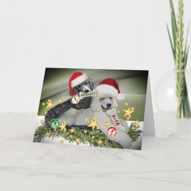 Poodle "Naughty or Nice" Christmas Cards (Front)