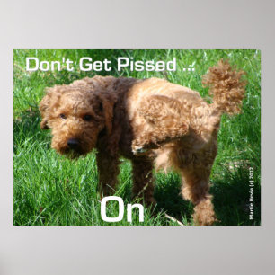 Poodle - Ne pas être en colère - Poster