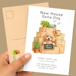 Poodle New House Moving Announcement  Postcard