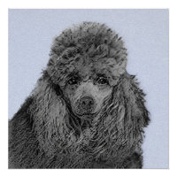 Poodle Painting Miniature Toy Black Original Art