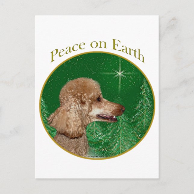 Poodle Peace Postcard (Front)