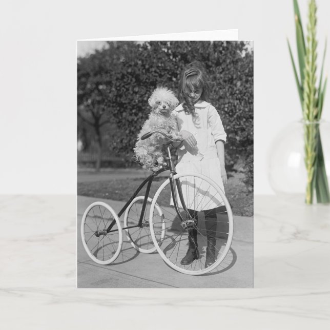 Poodle Perch, 1913 Card (Front)