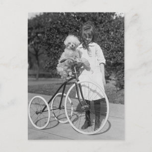 Poodle Perch, 1913 Postcard