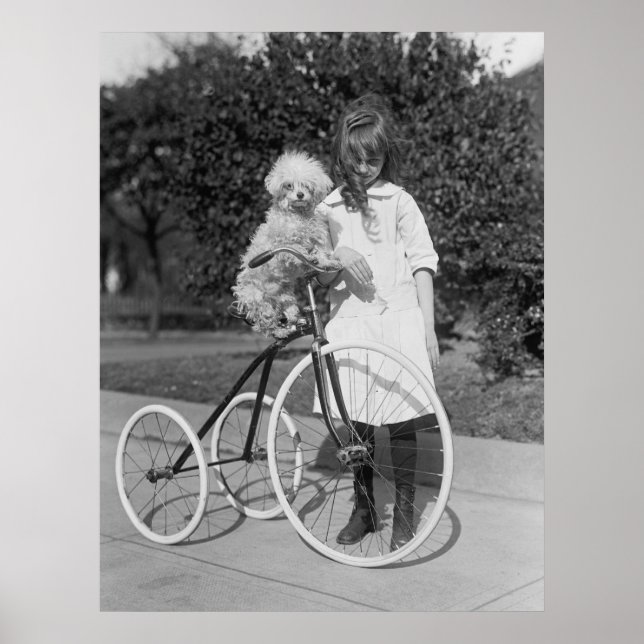 Poodle Perch, 1913 Poster (Front)