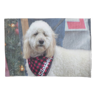 Poodle Pillowcase