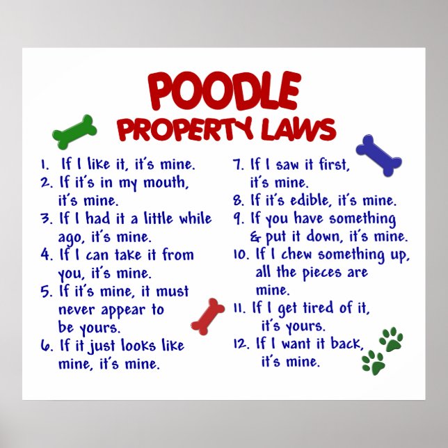 POODLE PL2 POSTER (Front)