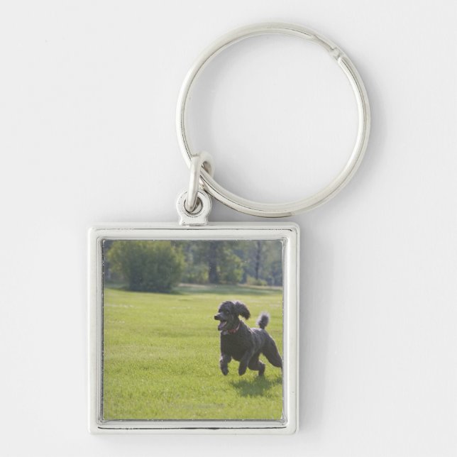 Poodle playing frisbee keychain (Front)