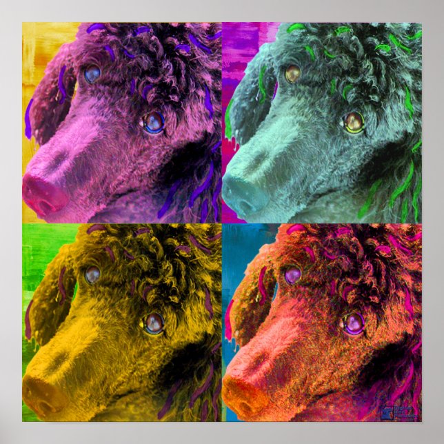 Poodle Pop Art Colourful Style Poster (Front)