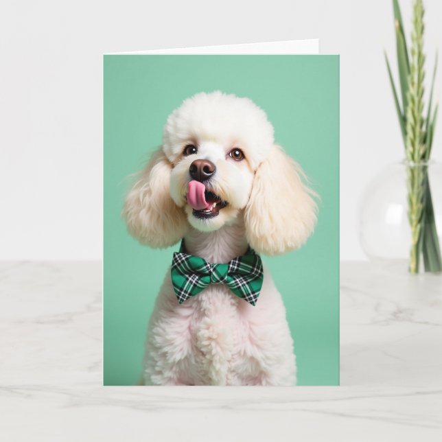 Poodle Portrait Perfect Pet Card (Front)
