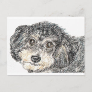 POODLE POSTCARD