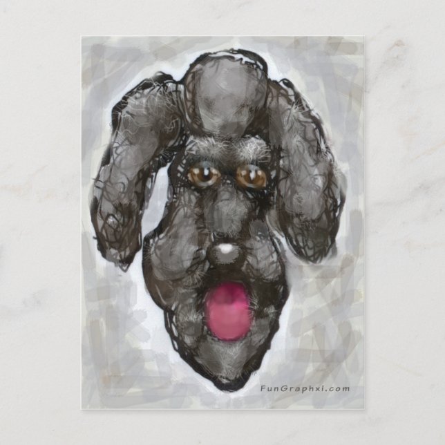 Poodle Postcard (Front)