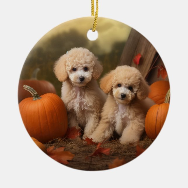 Poodle Puppy Autumn Delight Pumpkin Ceramic Ornament (Front)