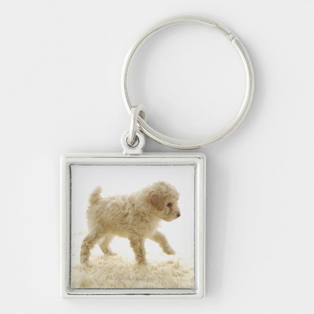 Poodle Puppy Keychain (Front)