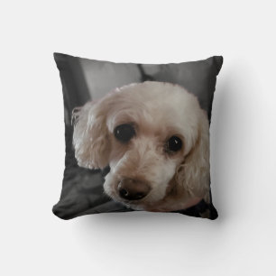Poodle Puppy Pillow
