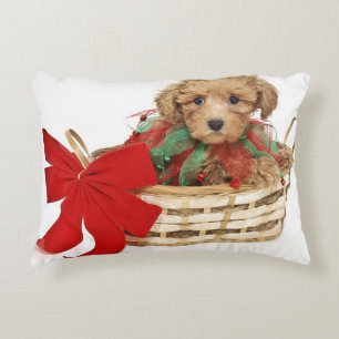 Poodle puppy sitting in Christmas basket Accent Pillow