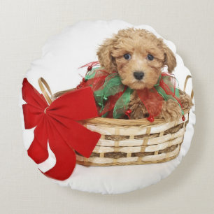 Poodle puppy sitting in Christmas basket Round Pillow