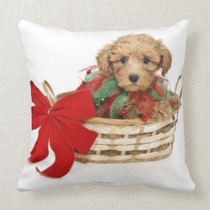 Poodle puppy sitting in Christmas basket Throw Pillow